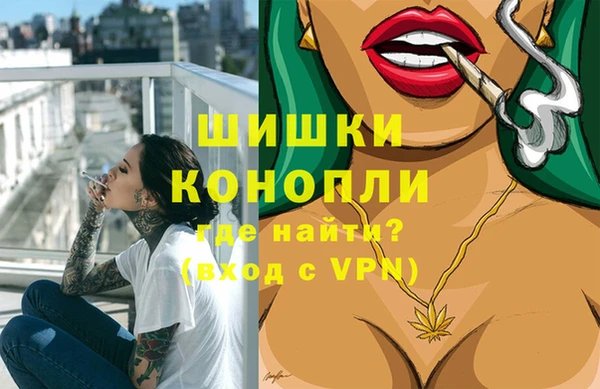 сатива Армянск